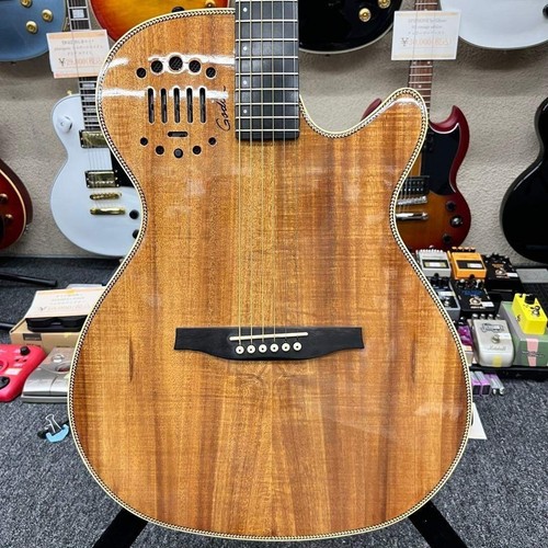 Godin multiac acciaio duetto - godin,