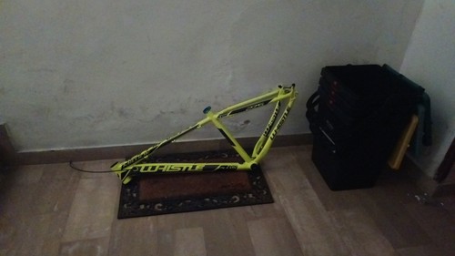Telaio mtb whistle - telaio,