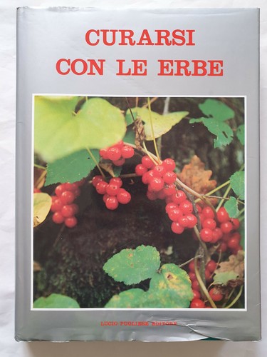 Curarsi con erbe perna - erbe,