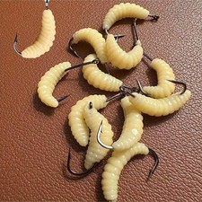 Set esche Grub Maggots in