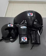 Winning Boxing Kit-guanti