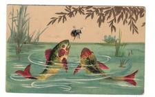 AM2580 - ANIMALI, INSETTI -