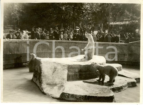 1940 roma giardino - 1940, ca