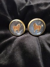 Briglia Rosetta's Haflinger