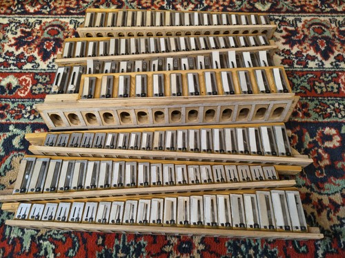 Bayan bottone fisarmonica - bottone,