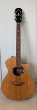 Chitarra acustica elettrica
