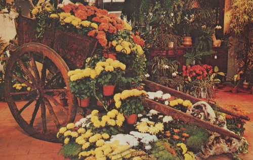 Carrello zingaro siciliano