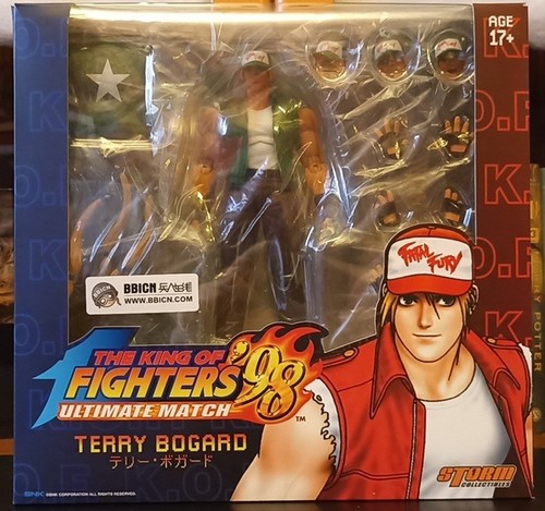 Storm terry bogard bbicn - storm,