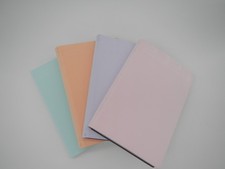 CANGINI&FILIPPI:AGENDA 2026