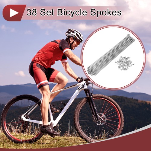 Set raggi bici 13g - 38, 213mm