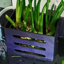 Porta piante per acquario