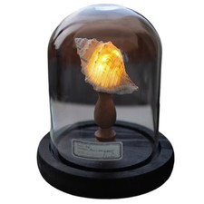 Luce notturna fai da te mini