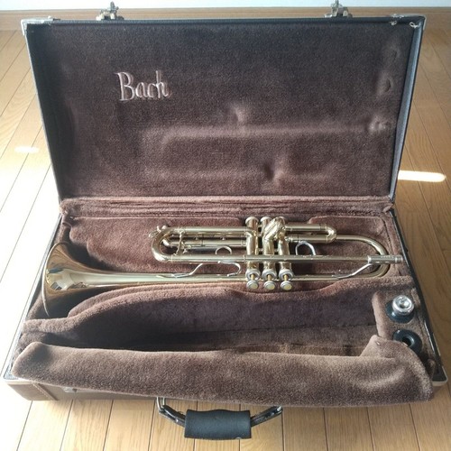 Tromba bach tr300 oro - tromba,