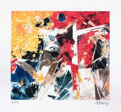 Francesco toraldo 23x25 - francesco,