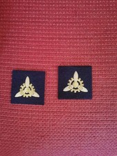 COPPIA DI GRADI MOTORISTA