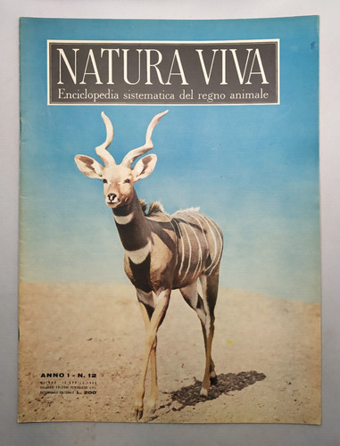Natura viva enciclopedia - viva,
