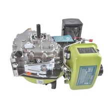 Motore Diesel 5HP 247CC 4 Tempi,173F 3600W per Piccole Macchine Agricole
