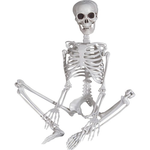 Scheletro per halloween - per, in