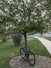 Specialized Stumpjumper Town N