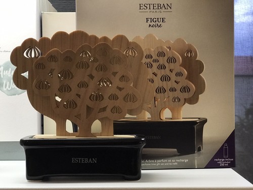 Esteban paris profumatore - paris,