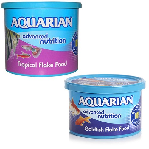 Acquario tropicale acqua - acquario, tropicale/acqua
