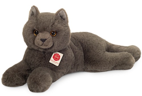 Gatto certosino sdraiato teddy - gatto,