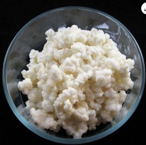 Kefir latte grammi - kefir, di