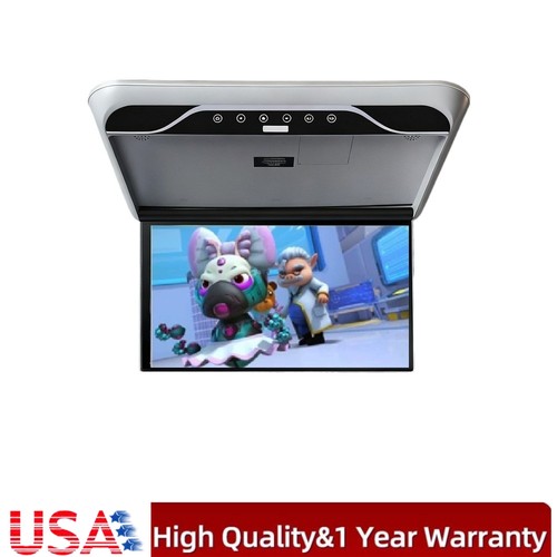 Monitor tetto auto ribaltabile