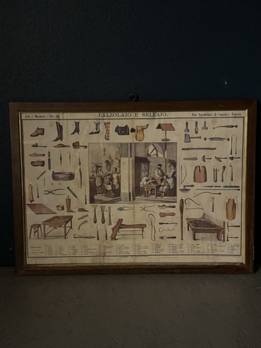 Tavola didattica paravia - tavola,