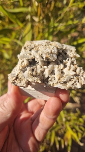Minerals milk quartz crystals - milk,