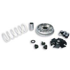 VARIATORE MALOSSI MULTIVAR