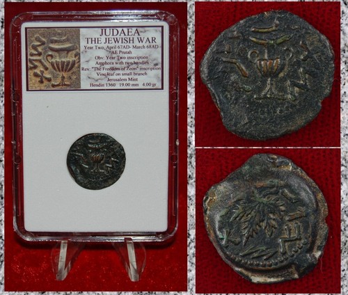 Moneta antica giudea guerra - moneta,