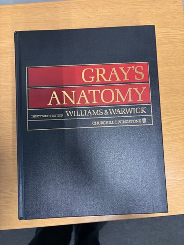 Grays anatomy williams - by,
