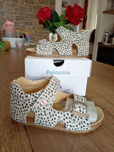 Falcotto bea 0011500737 - bea,