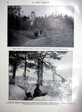 Vecchia stampa originale