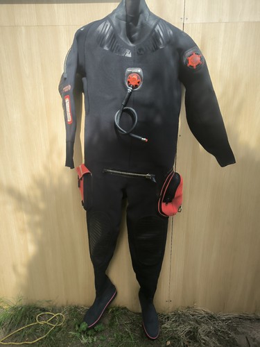 Muta stagna northern - stagna, diver
