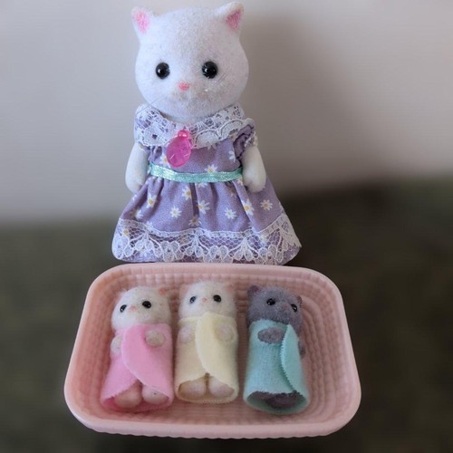 Set famiglia gatti persiani