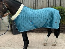 "Tappeto stabile cavallo