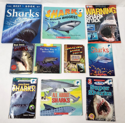 Kids books about sharks lot - lot, of
