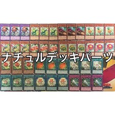 Mazzo Naturia Nucleo yugioh