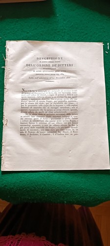 Entomologia ditteri regno di - entomologia,,