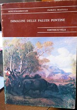 1981 RENATO MAMMUCCARI