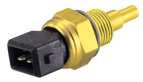 Sonda temperatura acqua - temperatura, per