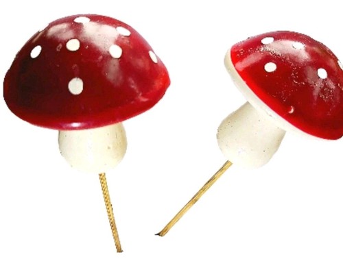 1960 funghi rosso bianco - 1960,