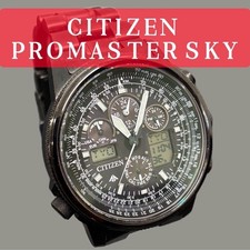 Citizen Promaster Pilot Watch