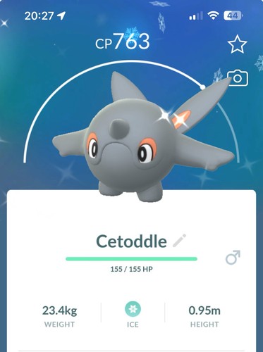 Shiny cetoddle pokemon - shiny, go