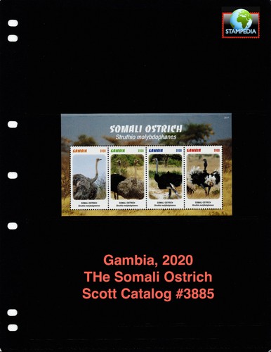 Scott value 2020 - value,