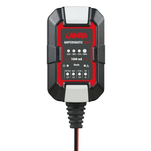 Caribatteria mantenitore - caribatteria, di