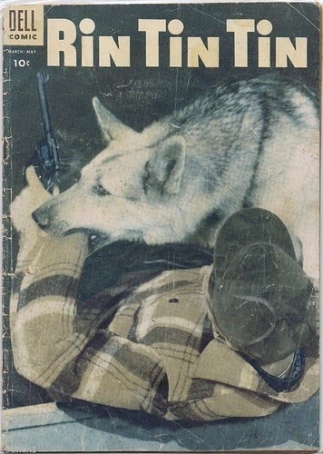Rin tin comic - tin, comic",