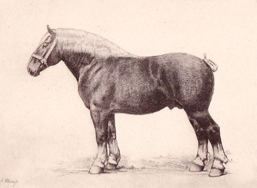 Hynderick theulegoet - de,